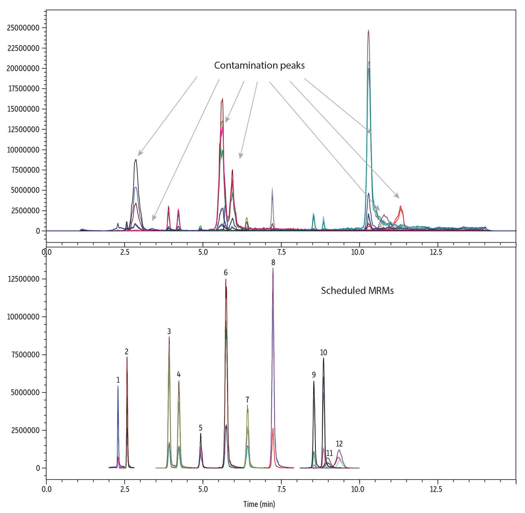 Comparison of Phthalates Before vs. After Scheduling